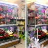 Mango Flowers display: effectieve verkoop van bloemen