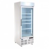 Polar display vriezer met lichtkoof 412ltr