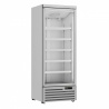 Koelkast 1 Glasdeur 600L  JDE-600R