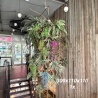 Unieke horeca inrichting & decoratie � industrieel / urban