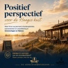Meerdere strandpaviljoens aan de Haagse kust te koop - De Horecatussenpersoon