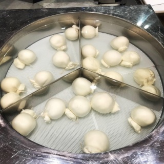 Mozzarella Koelmeubel van Safecold B.V.