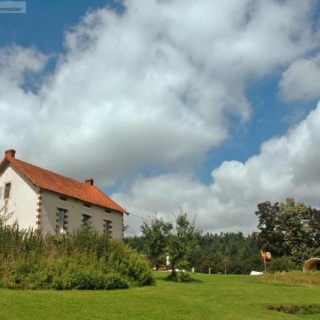 Pannenkoekenhuis te koop Pannenkoekenhuis te koop